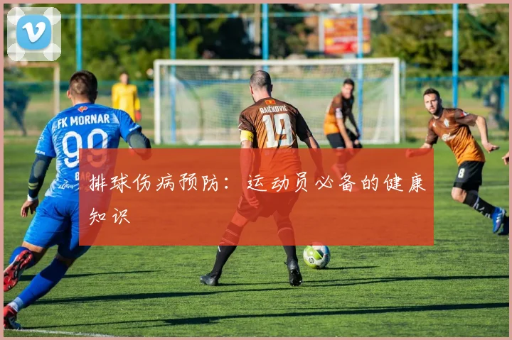 排球伤病预防:运动员必备的健康知识